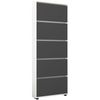 купить Полка для обуви Mobildor-Lux Leo Slim 100x16x203H cm White/Anthracite в Кишинёве 