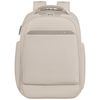 cumpără Rucsac pentru oraș Samsonite Paralux Bt Everyday Stone Grey (156433/1830) în Chișinău 