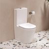 cumpără Vas WC Ravak Elegant RimOff set white X01872 în Chișinău 