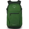 cumpără Rucsac sportiv Osprey Daylite Plus Green Belt/Green Canopy (843820185485) în Chișinău 