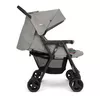 cumpără Сărucior pentru copii Joie S1217BAPEB000 Aire Twin Pebble (pentru gemeni) în Chișinău 