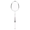 cumpără Echipament pentru badminton miscellaneous 6469 Paleta badminton Abisal NR305 Carbon 14-00-326 în Chișinău 