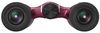 купить Бинокль Nikon Aculon T02 8x21 Red в Кишинёве 