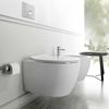 PROMO SET WC SENTIMENTI RIMLESS cu capac soft close+Instalatie+Buton Chrome matt