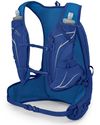 купить Рюкзак спортивный Osprey Duro 1.5 blue sky L в Кишинёве 