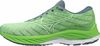 купить Кроссовки для бега Mizuno WAVE RIDER 26 J1GC2203 56 в Кишинёве 