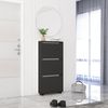 купить Полка для обуви Mobildor-Lux Leo Slim 50x16x125H cm Anthracite в Кишинёве 