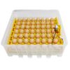 Инкубатор для яиц автоматический MS-56, 56 куриных, 56 утиных, 56 перепелиных яйца 