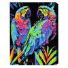 купить Картина по номерам BrushMe BSB0022FC (fără cutie) Papagali tropicali в Кишинёве 