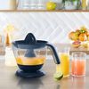 купить Соковыжималка для цитрусовых Tefal ZP2M04E0 в Кишинёве 