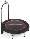 cumpără Trambulină inSPORTline 319 fitness+ maner+ecran d=100cm 7198 Profi în Chișinău 