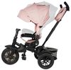 cumpără Bicicletă-cărucior Qplay Premium Pink în Chișinău 