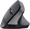 купить Мышь Trust TR25146 Bayo+, Black в Кишинёве 