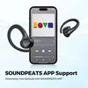 купить Наушники беспроводные SoundPeats Wings 2 в Кишинёве 