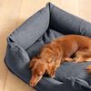 cumpără Pat pentru câini și pisici Intex (48701) Pat gonflabil pentru animale de companie cu pompă, 79x58x22cm în Chișinău 