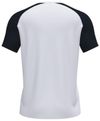 cumpără Îmbrăcăminte sport Joma T-Shirt Academy IV (S) 101968.201 în Chișinău 