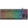 cumpără Tastatură Trust GXT 833 Thado TKL Illuminated în Chișinău 