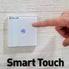 cumpără Întrerupător electric Tellur TLL331481 Intrerupator WiFi Smart, SS1N,1 port, 1800W, 10A în Chișinău 