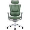 купить Офисное кресло ART Mirus IOO Elite 2 Green T-168-B6 IOOE2-AG-HAM-5D-L в Кишинёве 