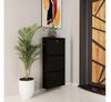 cumpără Raft pentru încălțăminte Trendy Locking 3 Piece Metal-Black, 50x103x15cm în Chișinău 
