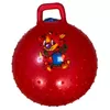 купить Мяч miscellaneous 1755 Minge gimnastica masaj d=40 cm cu maner p/u copii в Кишинёве 