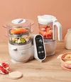 cumpără Aparat de gatit cu abur si blender Babymoov A001135 Robot multifunctional 5 in 1 Nutribaby+ Mineral Beige în Chișinău 