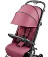 купить Детская коляска Peg Perego IP31000000BK39RO01 Volo Malva (ultracompact) в Кишинёве 