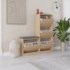 cumpără Raft pentru încălțăminte Hanah Home Dude Oak în Chișinău 