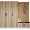 cumpără Mobilă pentru antreu Trendy Noe-8302, 225x210x35cm (GTR004009) în Chișinău 