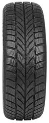 cumpără Anvelopă Maxxis 185/55 R16 WP05 Arctic Trekker 87H XL în Chișinău 