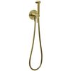 купить Смеситель для биде Ferro Ciriculus gold BCK66PBG (dus igienis) в Кишинёве 
