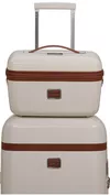 купить Несессер/косметичка Samsonite Image Beauty Case Bej (154695/1451) в Кишинёве 