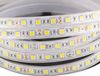 купить Лента LED LED Market LED Strip 3000K, SMD5050, IP67 (tube), 60LED/m в Кишинёве 