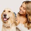 купить Товар для груминга Ufesa Pet grooming & vacuum PetBuddy Groom в Кишинёве 