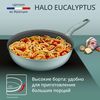купить Сковорода Tefal G0167702 Halo Eucalyptus Wok 26cm в Кишинёве 