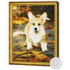 купить Картина по номерам Art Gallery GA83095 Mozaic cu diamante Corghi drăguț 40x50cm в Кишинёве 