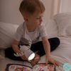 купить Ночной светильник Mary’s MW20535 LED White Deer в Кишинёве 