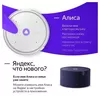 cumpără Boxă portativă Bluetooth Yandex YNDX-00020G Alisa Station Mini Gray în Chișinău 