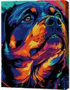 cumpără Tablou pe numere BrushMe RMGB010FC 30x40сm (pânză neagră/fără cutie) Prieten loial în Chișinău 