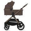 купить Детская коляска Lionelo Carucior 2in1 Layla Beige Taupe в Кишинёве 