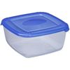 cumpără Container alimentare Plast Team 1676 POLAR - 1,5 л în Chișinău 