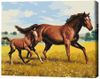 cumpără Tablou pe numere BrushMe BS52394 40x50 cm (în cutie) Galop de familie în Chișinău 