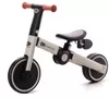 cumpără Bicicletă KinderKraft 4TRIKE KR4TRI22GRY0000 silver în Chișinău 