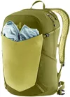 купить Рюкзак спортивный Deuter Speed Lite 21 linden-cactus в Кишинёве 