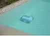 cumpără Aspirator pentru piscină NEMH2O ROBOT CLASSIC 10XS - P în Chișinău 