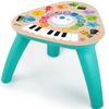 купить Музыкальная игрушка Baby Einstein E800892 Jucărie educațională Compozitor inteligent в Кишинёве 