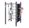 купить Детская площадка PlayPark Workout KIDS C-100 в Кишинёве 