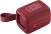 купить Колонка портативная Bluetooth Motorola Sound ROKR 300 7W BT Speaker IP67 - Red в Кишинёве 