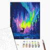 cumpără Tablou pe numere BrushMe BS54493 40x50cm (în cutie) Aurora polară în Chișinău 