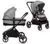 купить Детская коляска Lionelo Mika 2in1 Grey Stone в Кишинёве 